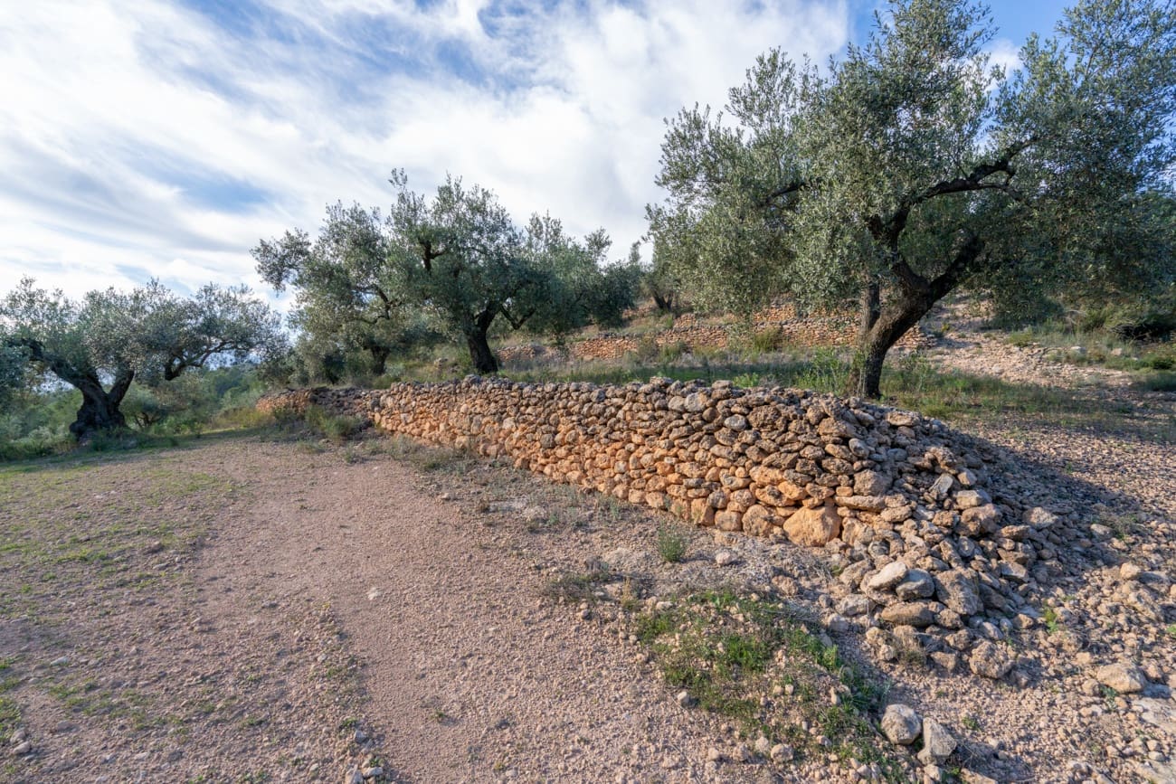 Finca/Landehus til salg i Tivenys - € 23.000 (Ref: 9449883)