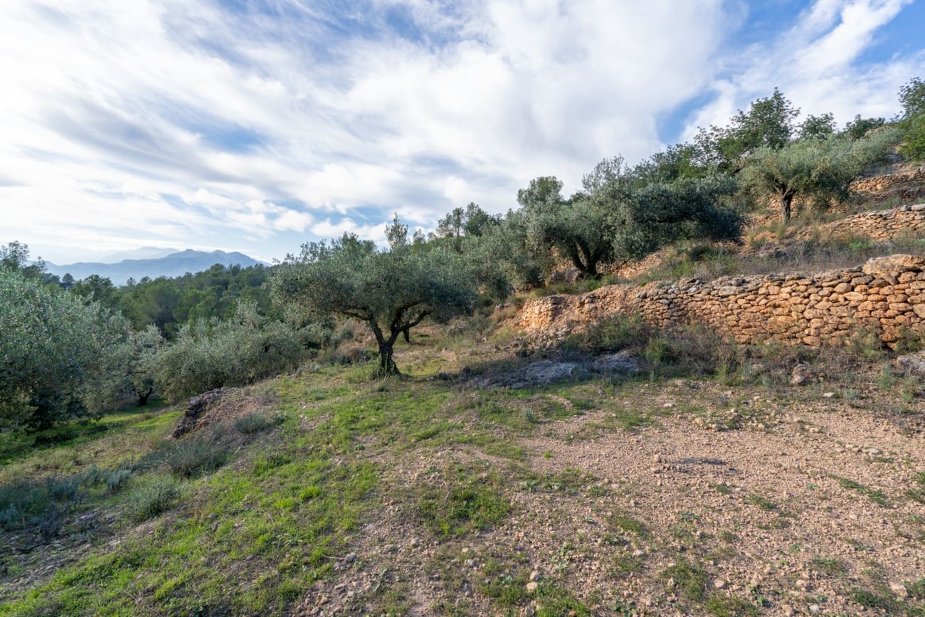 Finca/Landehus til salg i Tivenys - € 23.000 (Ref: 9449883)