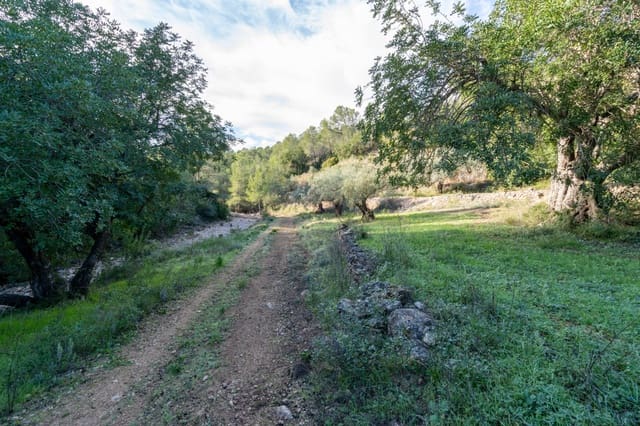 Finca/Herregård til salgs i Tivenys - € 23 000 (Ref: 9449883)