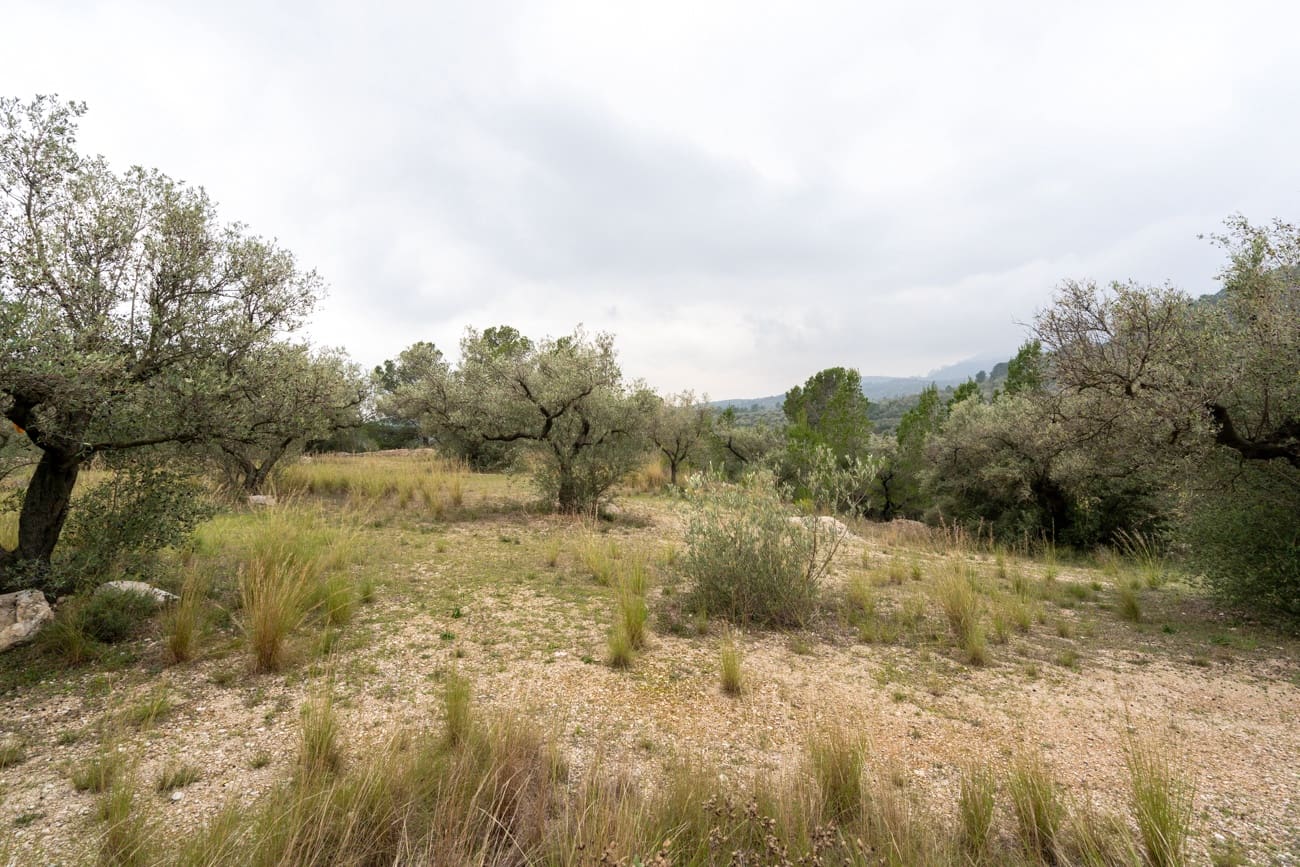 2 bedroom Finca/Country House for sale in Roquetes - € 150,000 (Ref: 9464897)