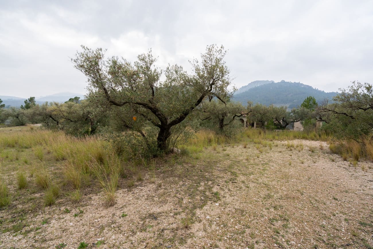 2 bedroom Finca/Country House for sale in Roquetes - € 150,000 (Ref: 9464897)