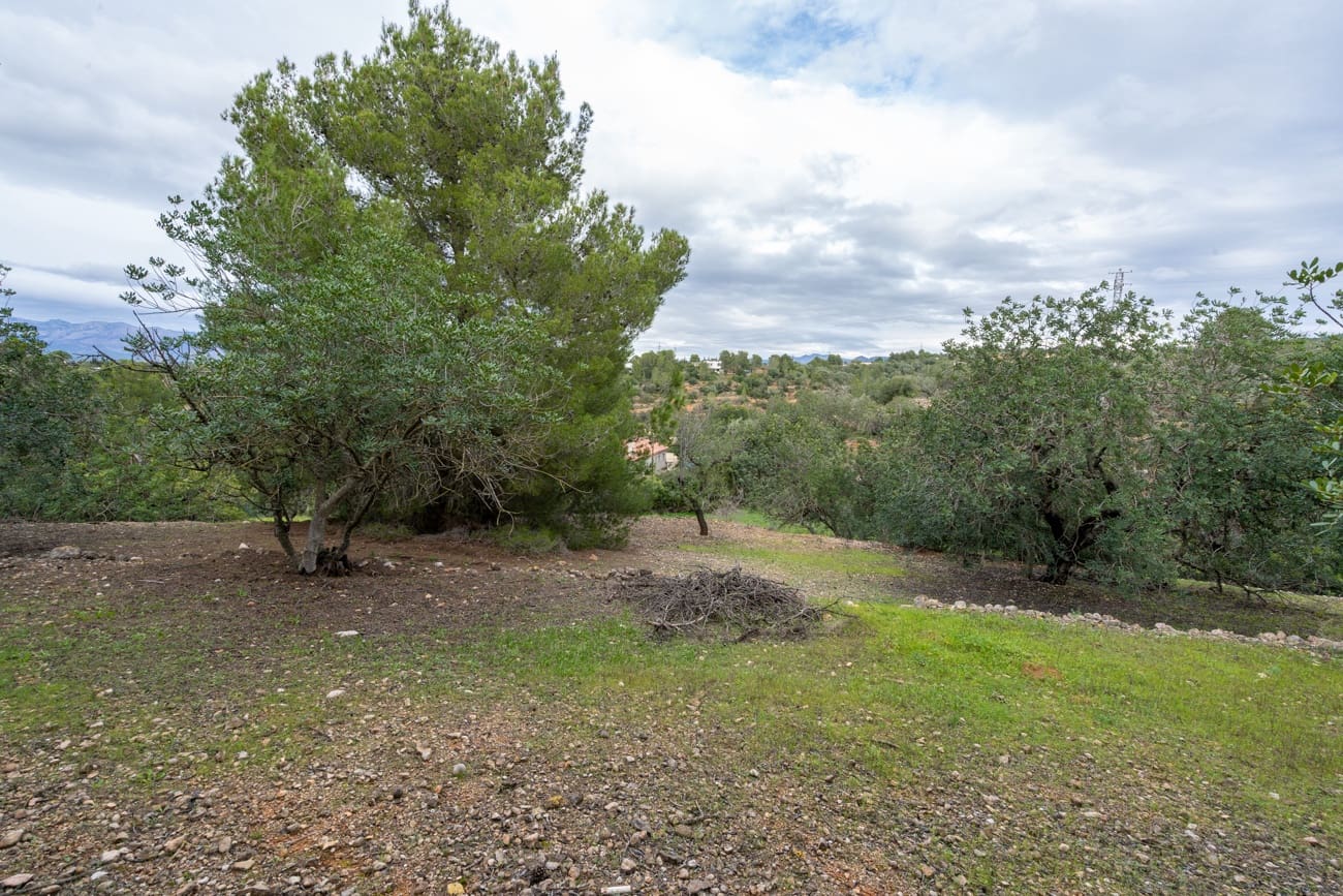 Finca/Country House for sale in Tortosa - € 18,000 (Ref: 9474348)