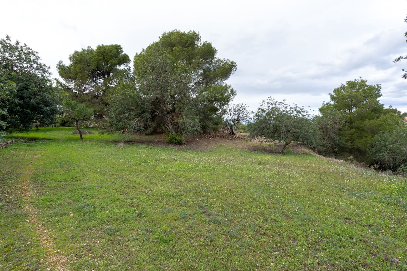 Finca/Country House for sale in Tortosa - € 18,000 (Ref: 9474348)