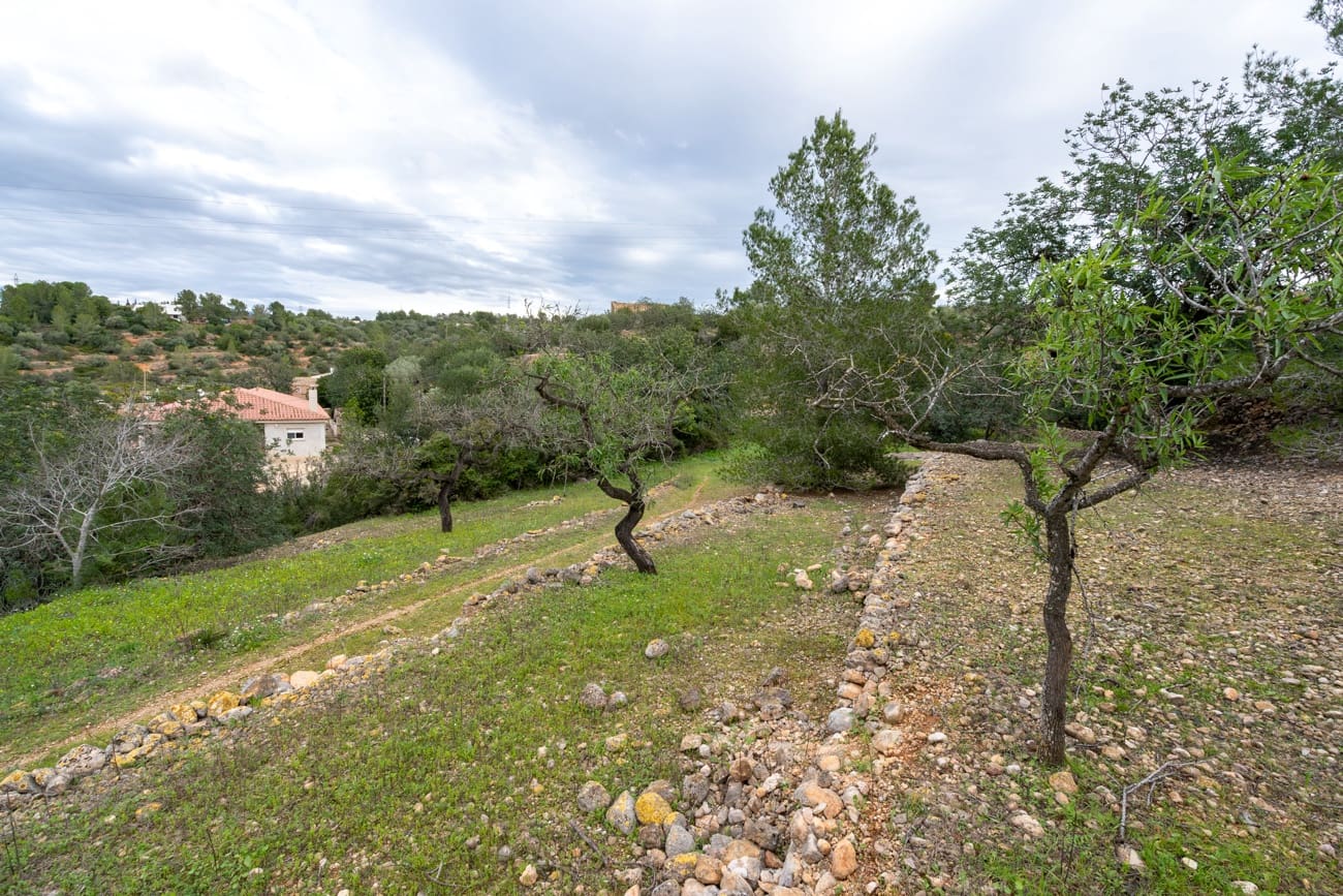 Finca/Country House for sale in Tortosa - € 18,000 (Ref: 9474348)