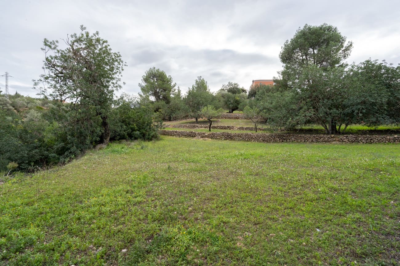 Finca/Country House for sale in Tortosa - € 18,000 (Ref: 9474348)