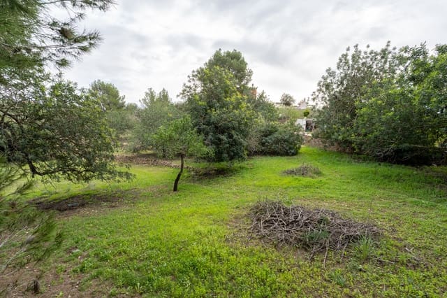 Finca/Landgut zu verkaufen in Tortosa - 18.000 € (Ref: 9474348)