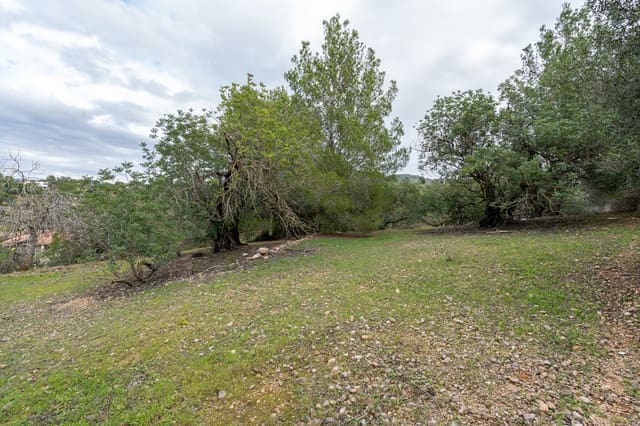 Finca/Landgut zu verkaufen in Tortosa - 18.000 € (Ref: 9474348)