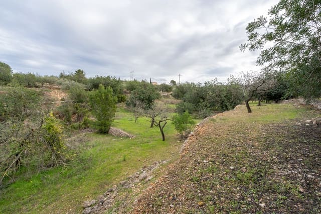 Finca/Landgut zu verkaufen in Tortosa - 18.000 € (Ref: 9474348)
