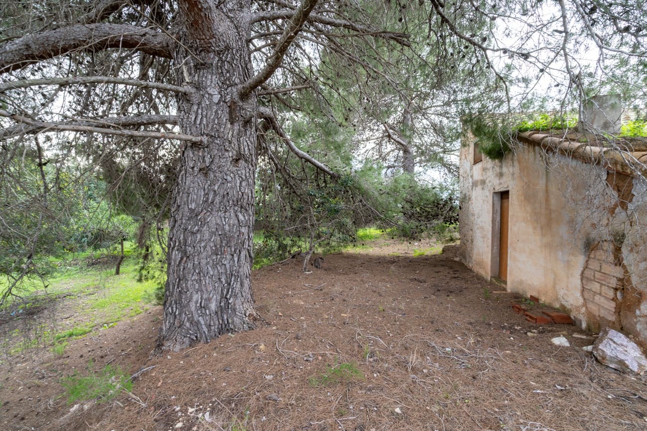 Finca/Country House for sale in Tortosa - € 18,000 (Ref: 9474348)