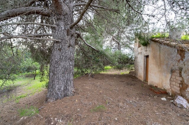 Finca/Landgut zu verkaufen in Tortosa - 18.000 € (Ref: 9474348)