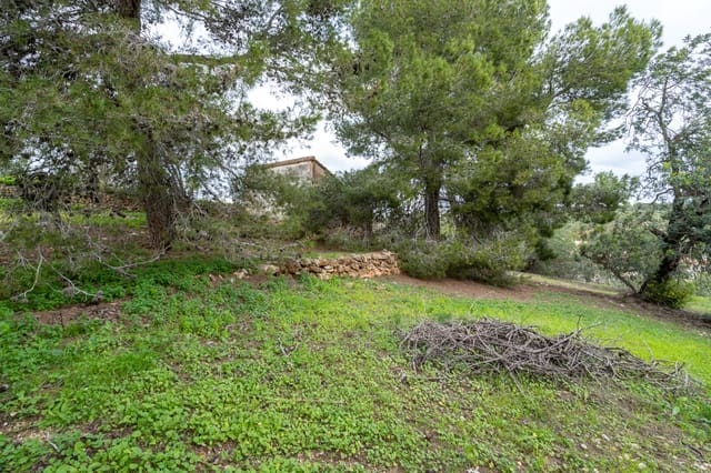 Finca/Landgut zu verkaufen in Tortosa - 18.000 € (Ref: 9474348)
