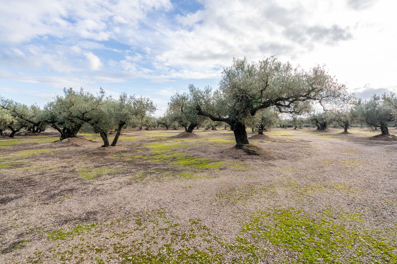 Finca/Country House for sale in Roquetes - € 33,000 (Ref: 9480741)