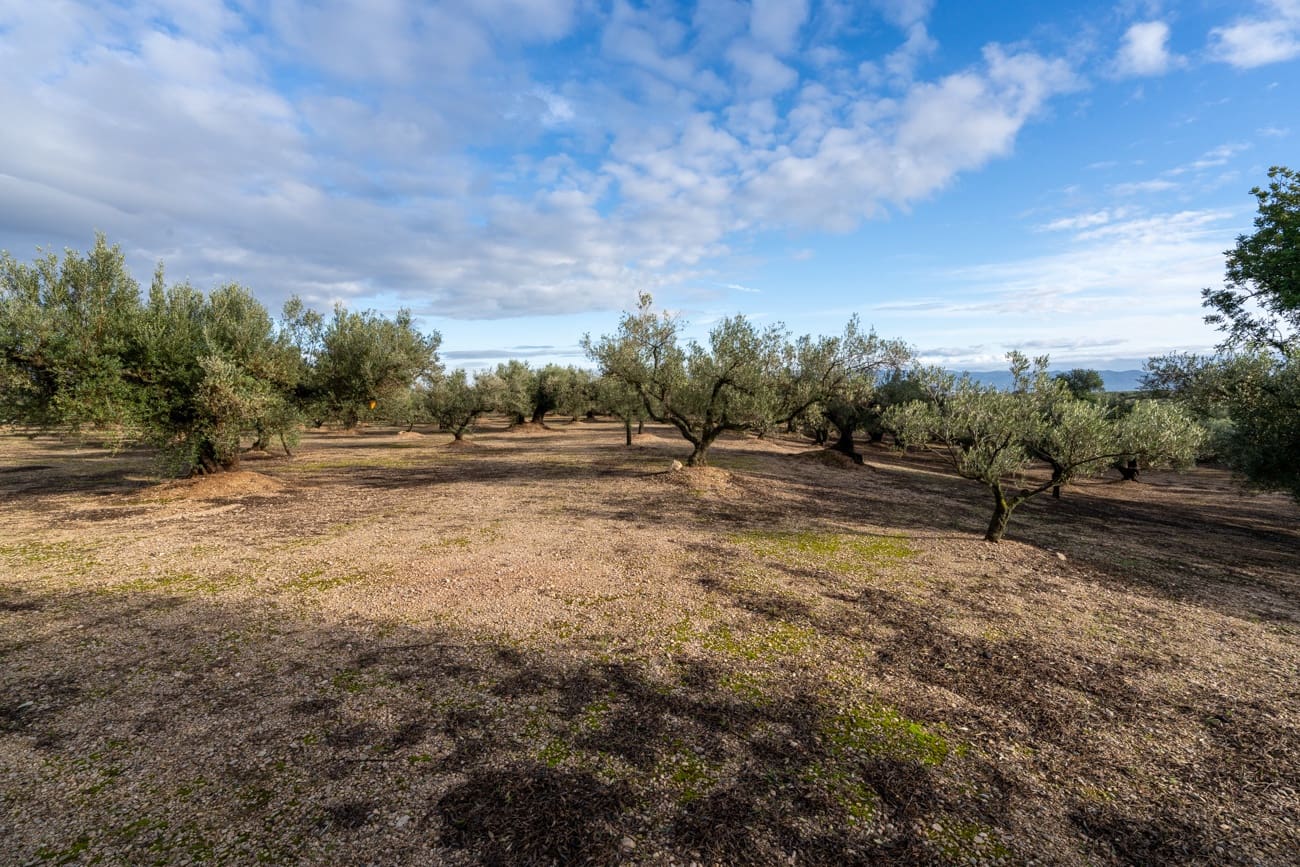 Finca/Country House for sale in Roquetes - € 33,000 (Ref: 9480741)