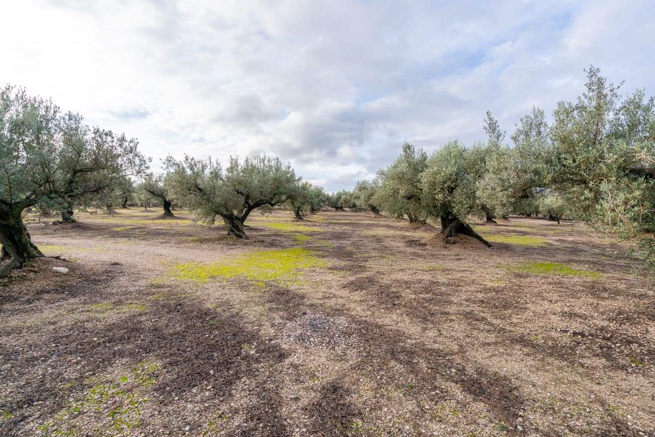 Finca/Country House for sale in Roquetes - € 33,000 (Ref: 9480741)