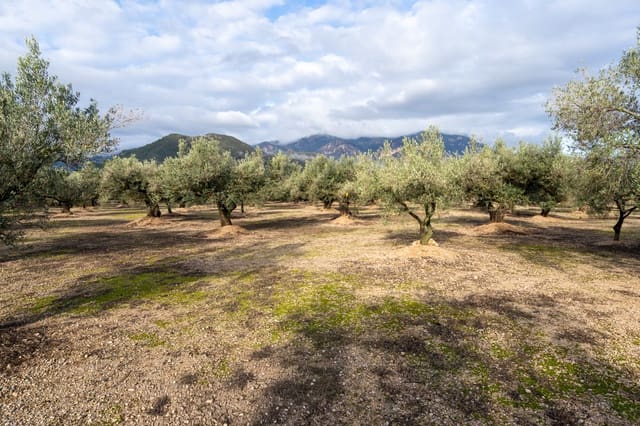 Finca/Hus på landet till salu i Roquetes - 33 000 € (Ref: 9480741)