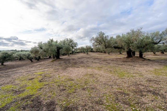 Finca/Hus på landet till salu i Roquetes - 33 000 € (Ref: 9480741)