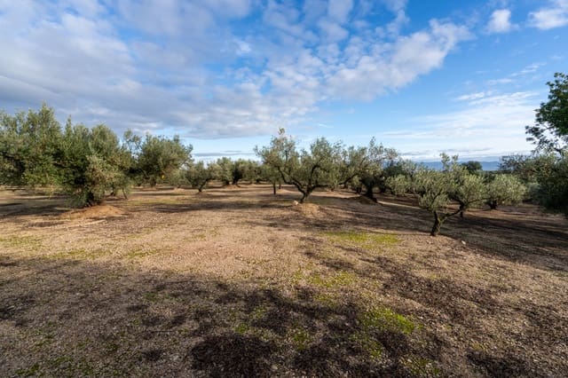 Finca/Hus på landet till salu i Roquetes - 33 000 € (Ref: 9480741)