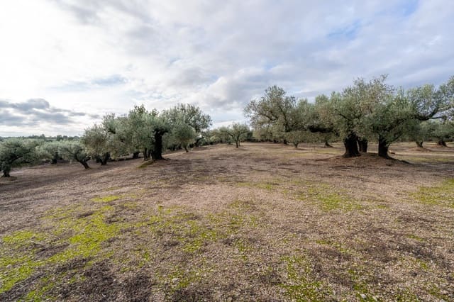 Finca/Country House for sale in Roquetes - € 33,000 (Ref: 9480741)