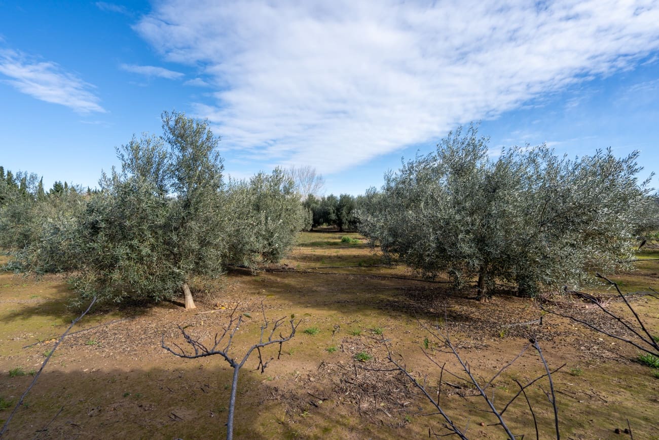 3 chambre Finca/Maison de Campagne à vendre à Vinallop - 213 000 € (Ref: 9494079)