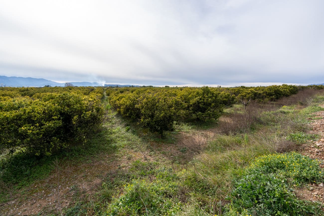 Finca/Landehus til salg i Santa Barbara - € 75.000 (Ref: 9566619)