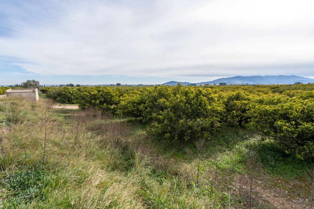 Finca/Landehus til salg i Santa Barbara - € 75.000 (Ref: 9566619)