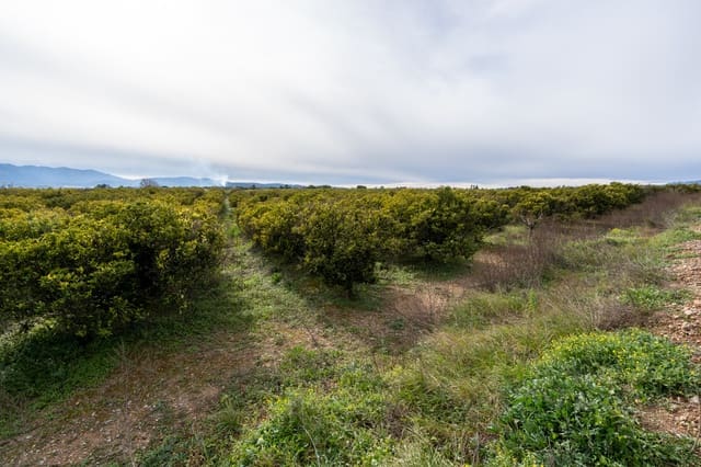 Finca/Landehus til salg i Santa Bàrbara - € 75.000 (Ref: 9566619)