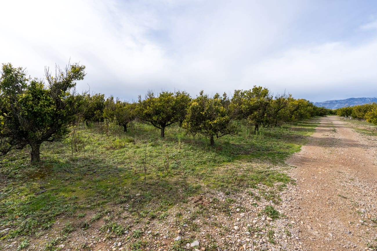 Finca/Landehus til salg i Santa Barbara - € 75.000 (Ref: 9566619)