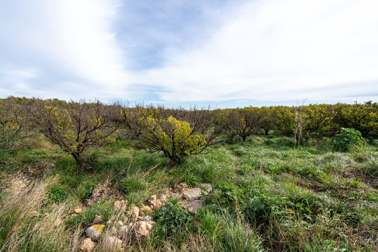 Finca/Landehus til salg i Santa Barbara - € 75.000 (Ref: 9566619)