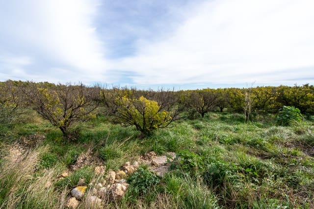 Finca/Landehus til salg i Santa Bàrbara - € 75.000 (Ref: 9566619)