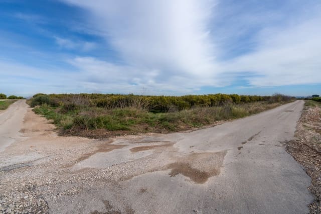 Finca/Casa di Campagna in vendita in Santa Bàrbara - 75.000 € (Rif: 9566619)