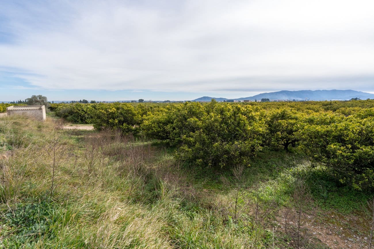 Finca/Country House for sale in Santa Barbara - € 75,000 (Ref: 9566619)