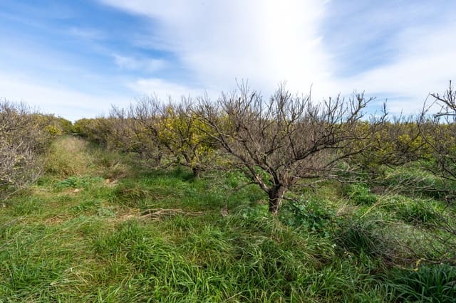 Finca/Casa di Campagna in vendita in Santa Bàrbara - 75.000 € (Rif: 9566619)