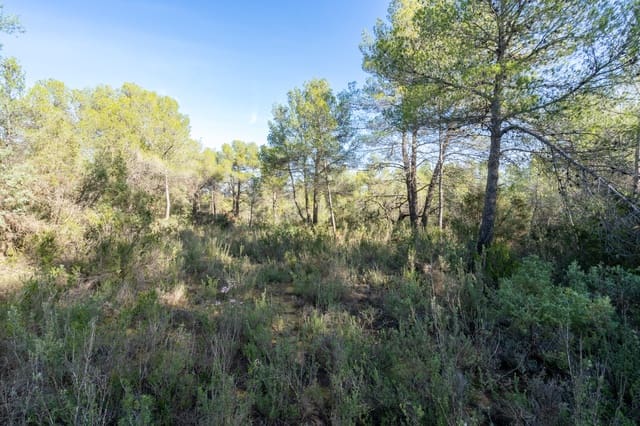Finca/Herregård til salgs i La Pobla de Benifassà - € 65 000 (Ref: 9572243)