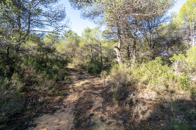 Finca/Herregård til salgs i La Pobla de Benifassà - € 65 000 (Ref: 9572243)