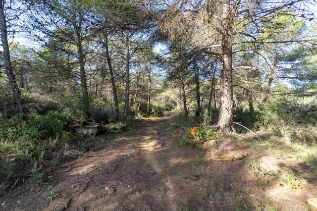 Quinta/Casa Rural para venda em La Pobla de Benifassà - 65 000 € (Ref: 9572243)