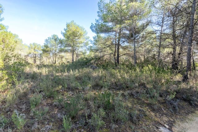 Quinta/Casa Rural para venda em La Pobla de Benifassà - 65 000 € (Ref: 9572243)
