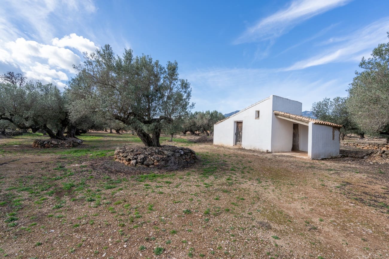 Finca/Country House for sale in Roquetes - € 31,000 (Ref: 9614448)