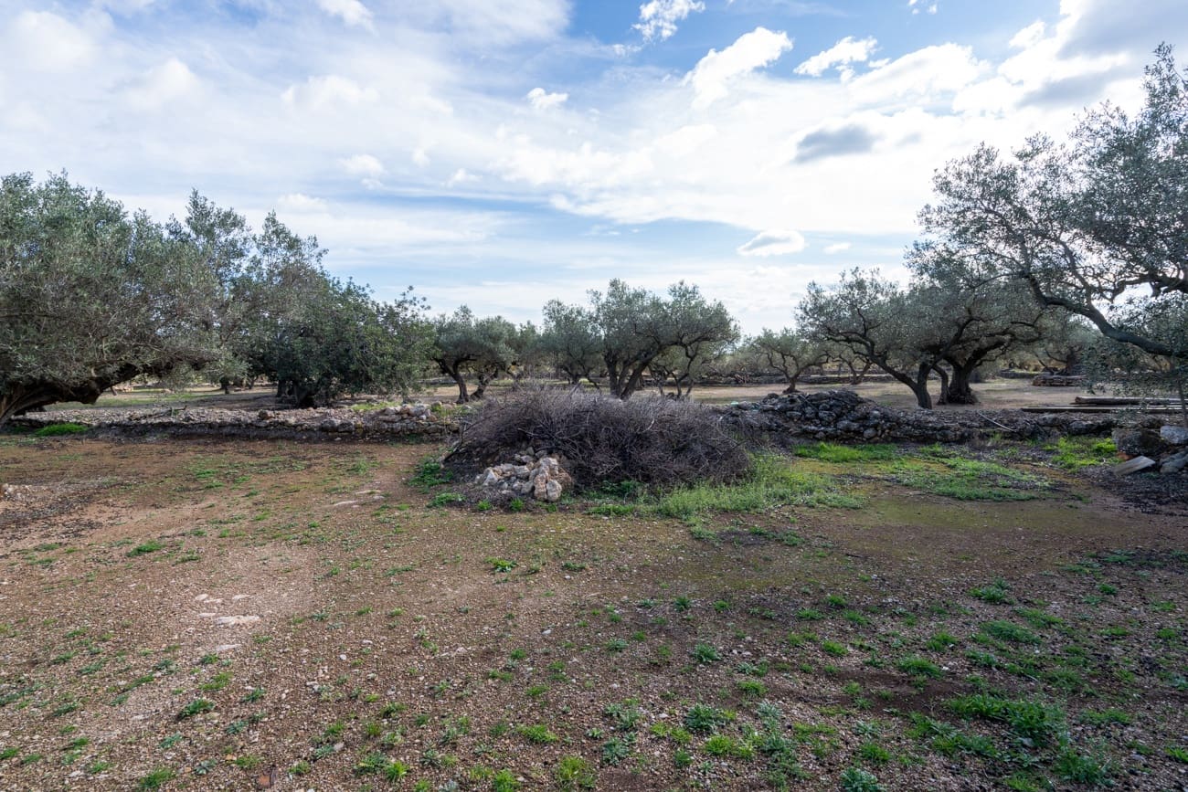 Finca/Country House for sale in Roquetes - € 31,000 (Ref: 9614448)