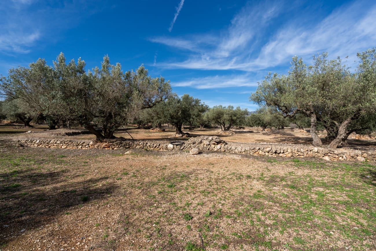 Finca/Country House for sale in Roquetes - € 31,000 (Ref: 9614448)