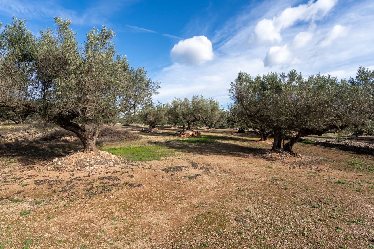 Finca/Country House for sale in Roquetes - € 31,000 (Ref: 9614448)