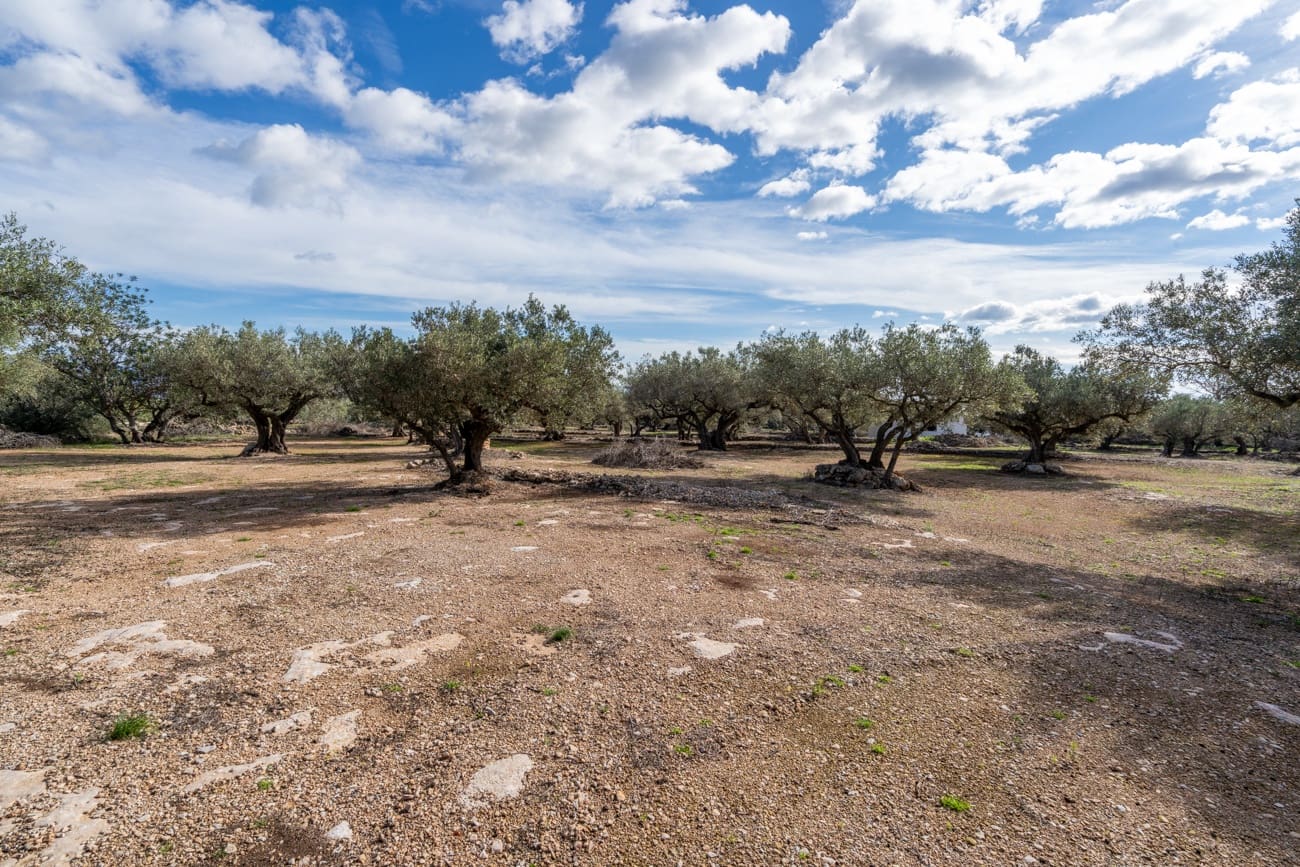Finca/Country House for sale in Roquetes - € 31,000 (Ref: 9614448)