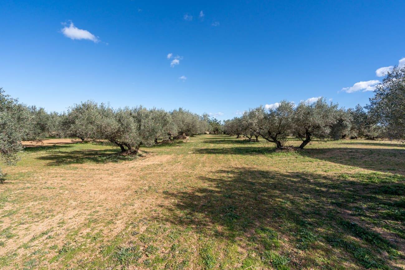 Finca/Hus på landet till salu i Roquetes - 34 000 € (Ref: 9618696)