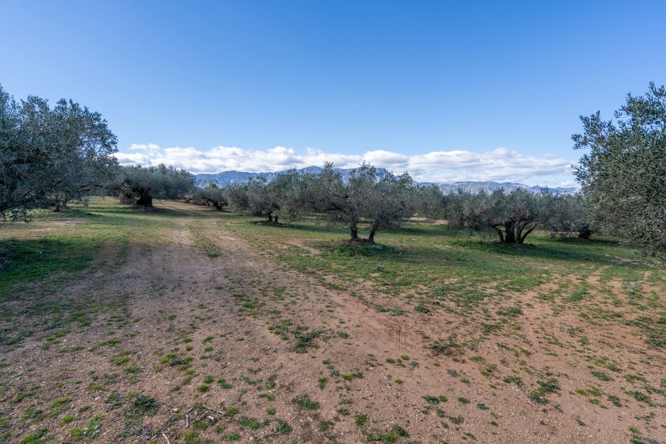 Finca/Hus på landet till salu i Roquetes - 34 000 € (Ref: 9618696)