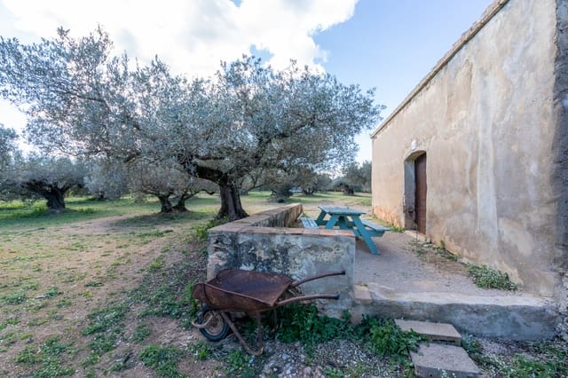 Finca/Casa Rural en Roquetes en venta - 34.000 € (Ref: 9618696)