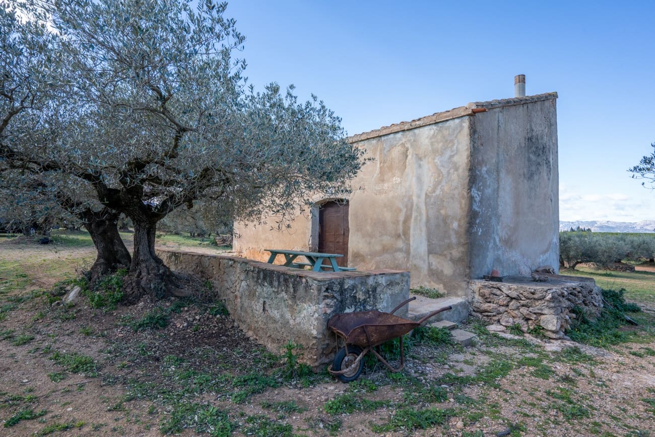 Finca/Hus på landet till salu i Roquetes - 34 000 € (Ref: 9618696)