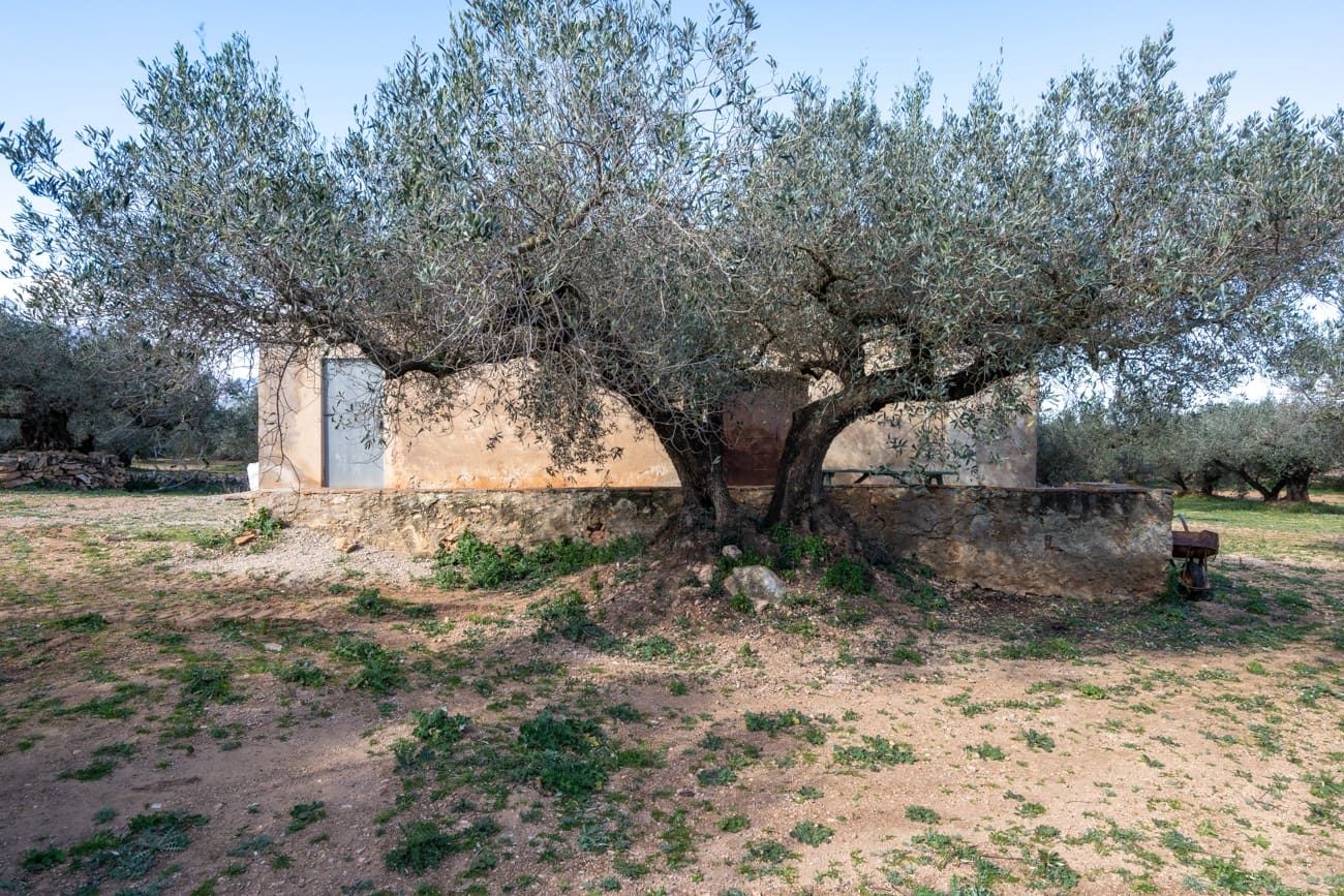 Finca/Hus på landet till salu i Roquetes - 34 000 € (Ref: 9618696)