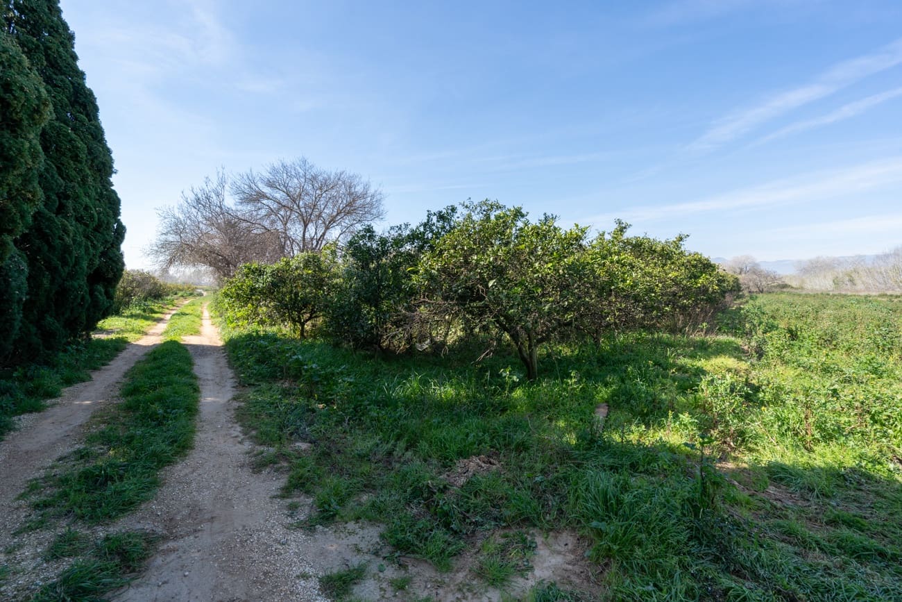 Quinta/Casa Rural para venda em Vinallop - 34 000 € (Ref: 9627903)