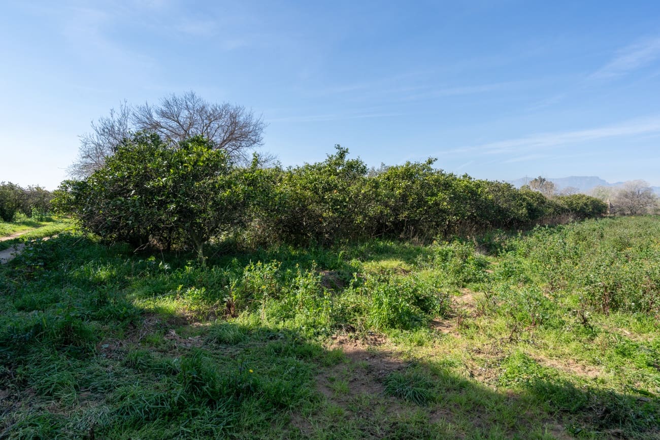 Quinta/Casa Rural para venda em Vinallop - 34 000 € (Ref: 9627903)