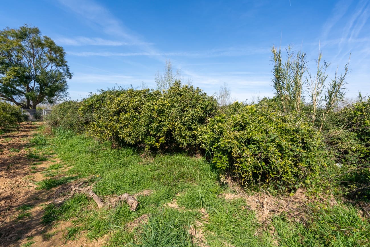 Quinta/Casa Rural para venda em Vinallop - 34 000 € (Ref: 9627903)