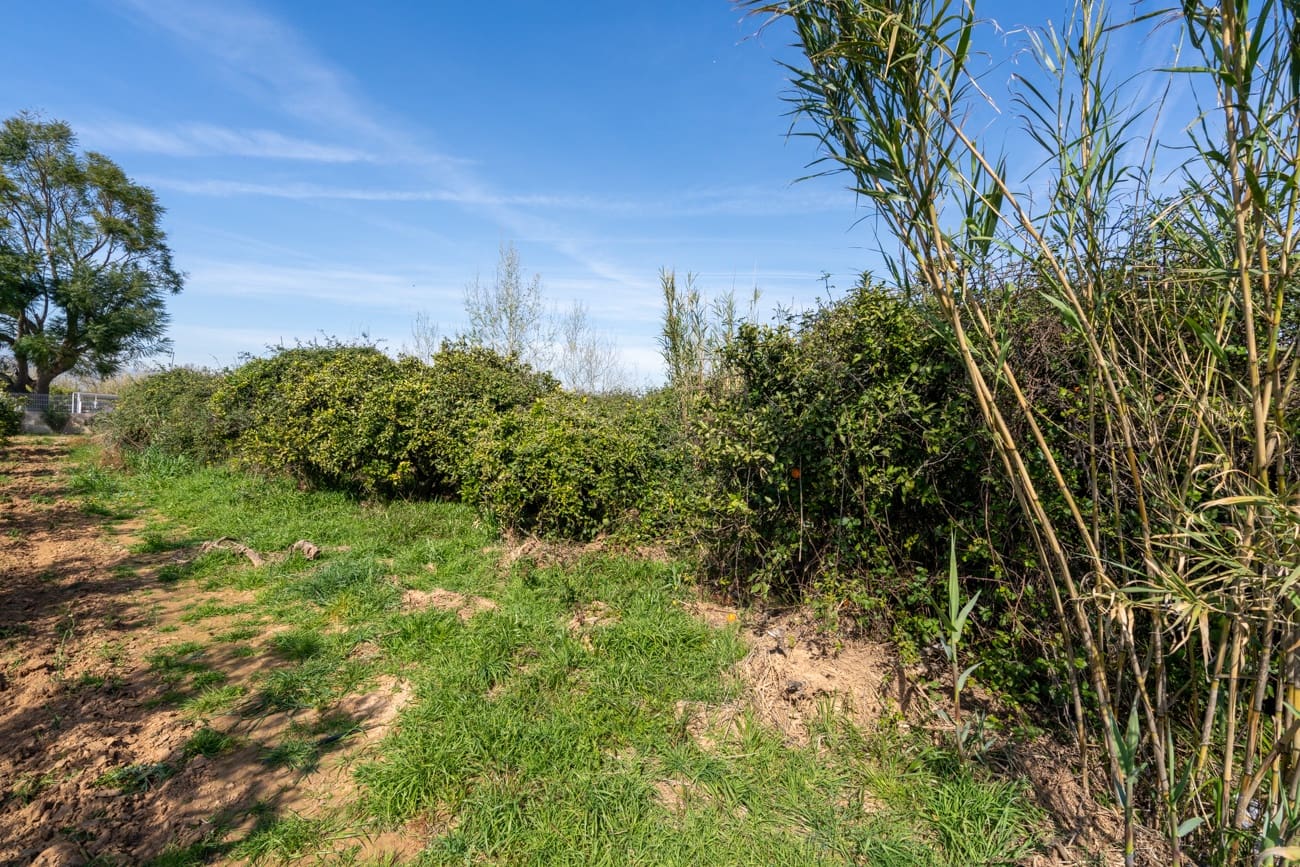 Quinta/Casa Rural para venda em Vinallop - 34 000 € (Ref: 9627903)